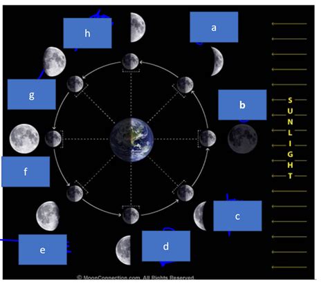 Lunar Phases Chart | sexiezpix Web Porn