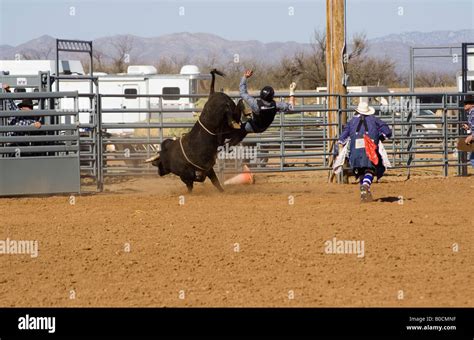 Bull riding at a rodeo, Arizona Stock Photo - Alamy