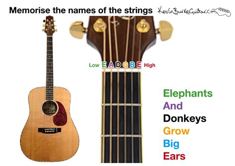 Free photo: Guitar Strings - Acoustic, Guitar, Instrument - Free ...