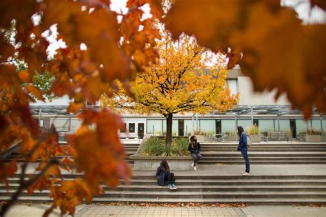 Take the 2021 U of T Alumni Survey now | University of Toronto Alumni