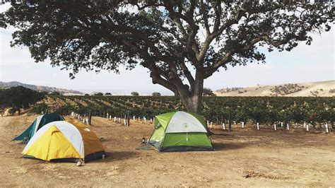 Winery Camping in the U.S.: 7 Farms That Will Let You Camp on Their Grounds | Condé Nast Traveler
