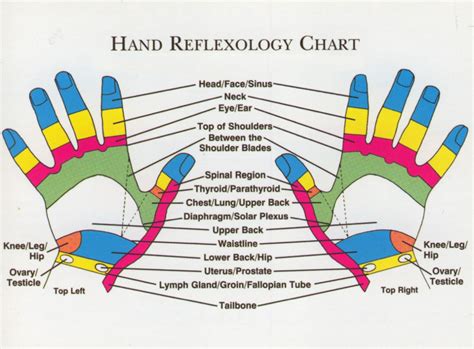 Hand Reflexology Chart | Reflexology chart, Hand reflexology ...