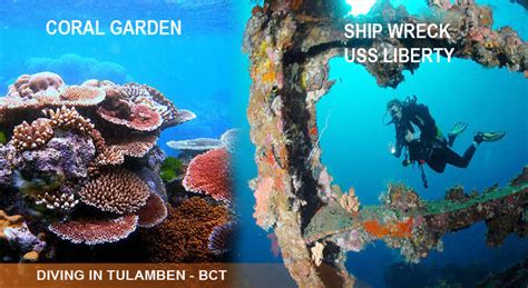 DIVING IN TULAMBEN || Promo USD 60 - Bali Custom Tour