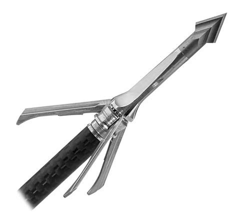 Best Broadheads for Whitetail Deer