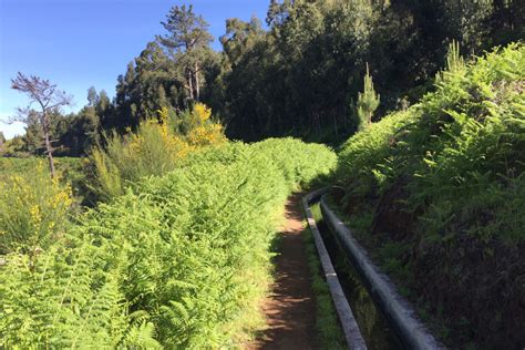 WalkMe Levadas Madeira – A guide to all hikers (50+ walks)