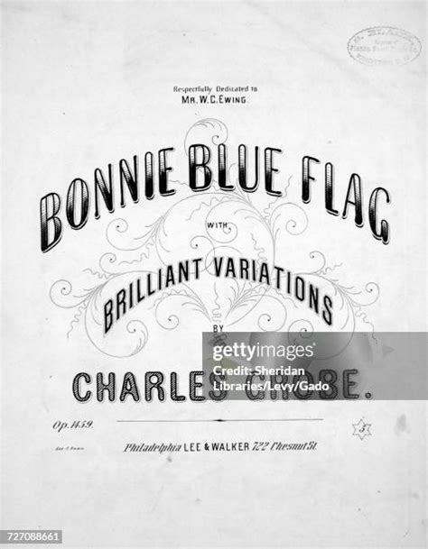 26 Bonnie Blue Flag Stock Photos, High-Res Pictures, and Images - Getty Images