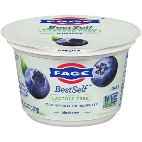 Fage Lactose Free Blueberry Greek Strained Yogurt (5.3 oz) - Instacart