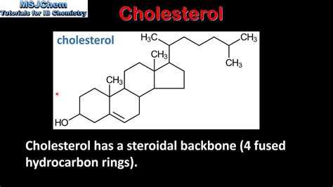 B.3 Cholesterol (SL) - YouTube