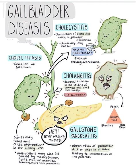 Gallbladder Diseases Chart - Phartoonz