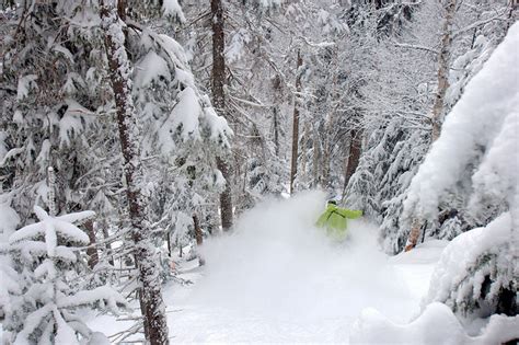 Accessible Off Piste: Guided Tree Skiing at Le Massif