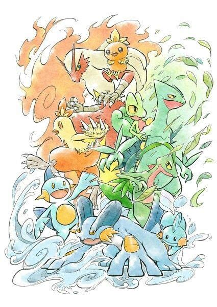 Hoenn Starters | Pokemon pictures, Pokemon art, Pokemon fan art