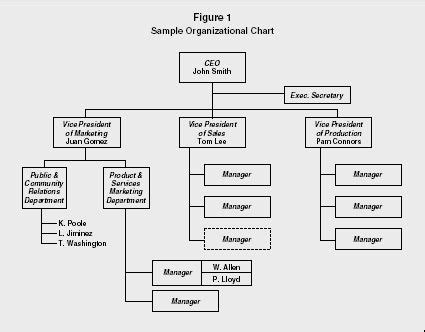 Organizational Chart - strategy, levels, examples