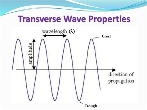 Intro Question 1 A wave pulse is created by very sharply moving the ...