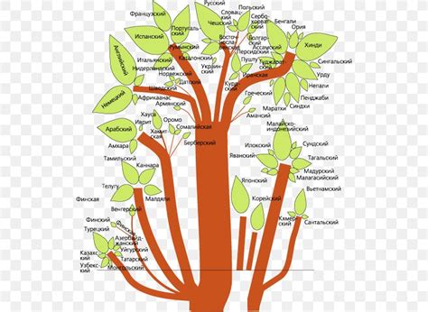 Indo-European Languages Мовна систематика Language Family Linguistics, PNG, 528x600px, Language ...