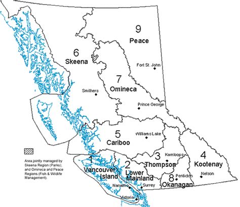 B.c. Wildlife Act Permit Regulation - Wildlife Aestetic 2021