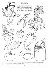 Food Pantry Coloring Page Pages sketch template