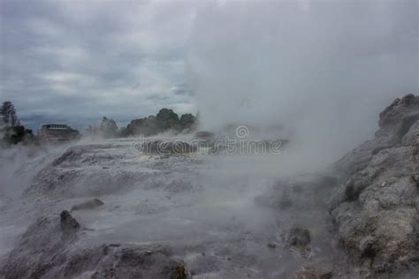 Taupo geothermal park stock photo. Image of trees, park - 116442446