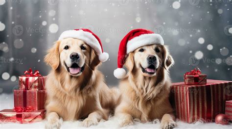 Cute dog wearing Santa Claus costume in christmas party .merry christmas concept.Created with ...