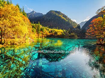 Five Flower Lake, Jiuzhaigou: Best Visit Time, Best Sites to Appreciate