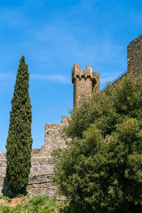 Cypress Tree in Front of Montalcino Castle Stock Photo - Image of building, european: 255896376