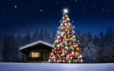 Images Nature Christmas tree Snow Forests night time 3840x2400