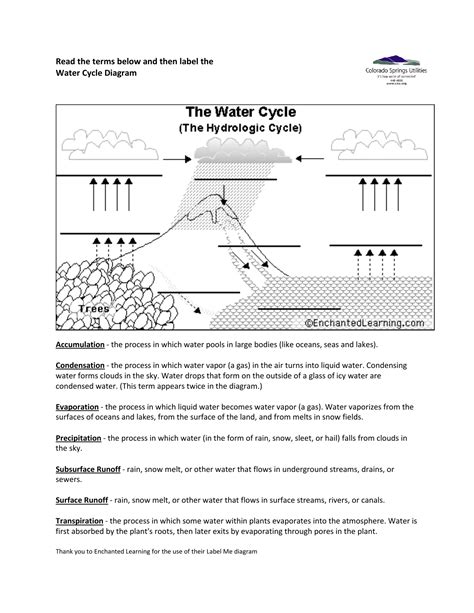 The Water Cycle Worksheet Answers – Englishworksheet.my.id