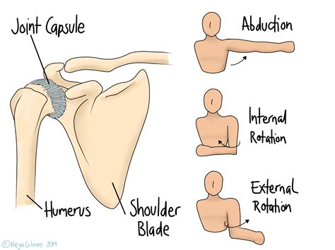 Frozen Shoulder - Beth Forrest Osteopathy