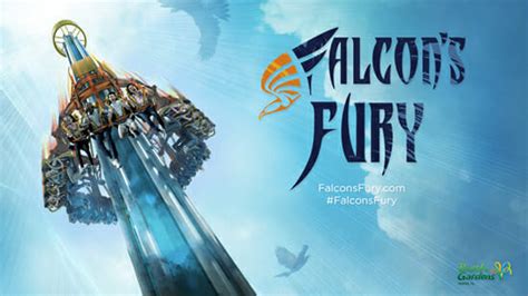 Falcon’s Fury Opens at Busch Gardens Tampa – Coaster Nation