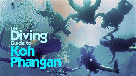 Diving Guide to Koh Phangan | Koh Phangan Online Magazine