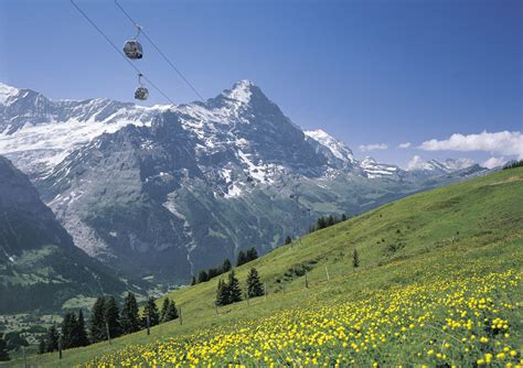 Interlaken ski map