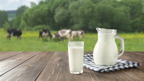 Whole-Fat Vs Fat-Free Milk: Which One Is Better For You?