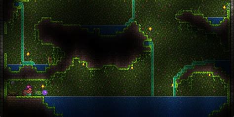 Every Biome In Terraria, Ranked