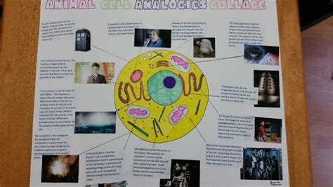 Animal cell analogy collage (with Doctor Who - the cell membrane is the ...