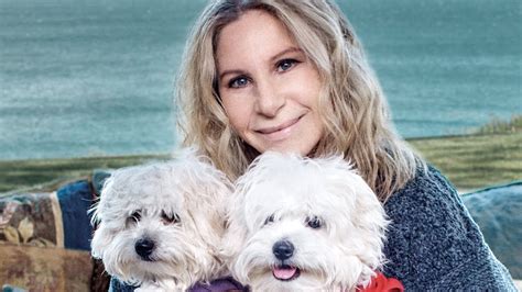 Barbra Streisand's Clone Dogs - YouTube