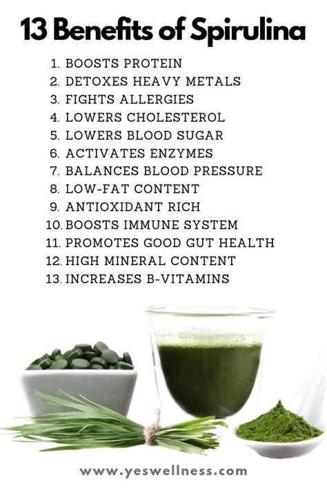 Spirulina, properties and health benefits - Complete Gardering