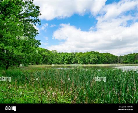 Cook county forest preserve hi-res stock photography and images - Alamy