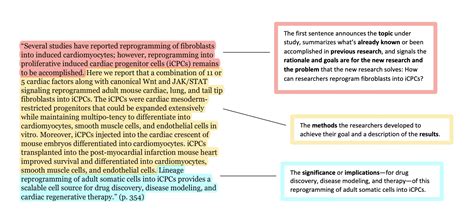 What Is The Writer'S Purpose In Writing The Essay – Sketsa