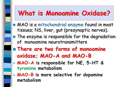 PPT - Monoamine Oxidase Inhibitors PowerPoint Presentation, free download - ID:5914020