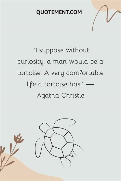 110 Turtle Quotes For Your Daily Dose Of Inspiration