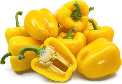 Yellow Holland Bell Peppers Information and Facts