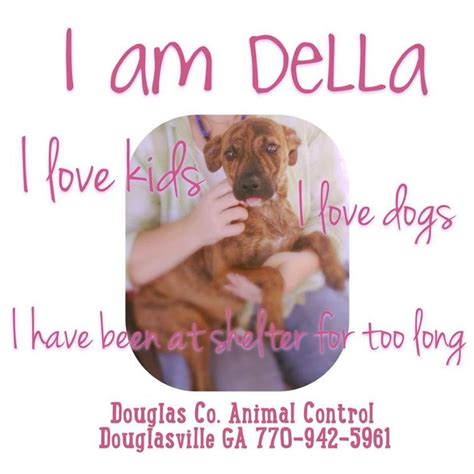 Puppy Della is still at the shelter Pics http://goo.gl/oPDUUX Douglas ...