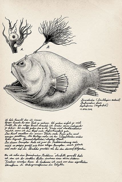 Deep Sea Creature_12 | Deep sea creatures, Sea fish illustration, Deep sea fish