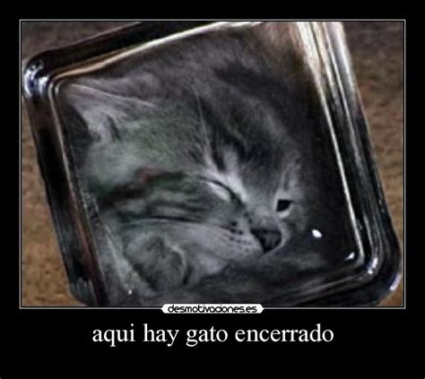 aqui hay gato encerrado | Desmotivaciones