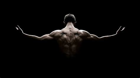 3840x2160px | free download | HD wallpaper: muscle, training, dumbbells ...