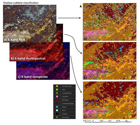 Example of shallow subtidal zone habitat imagery and the classification ...