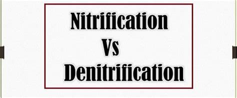 Difference Between Nitrification and Denitrification (with Comparison ...