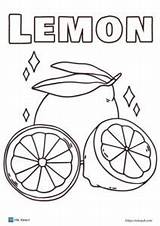 11 Free lemon coloring Pages PDF  ESL Vault sketch template