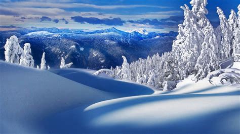 Beautiful Winter Scenery Wallpaper - WallpaperSafari