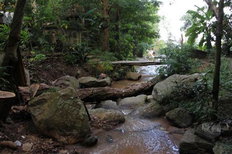 Hiking at Doi Suthep - Pui National Park : The Route to Wat Pa Lad