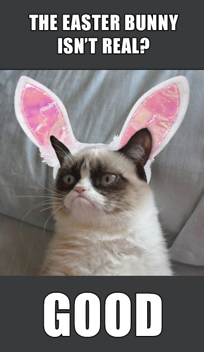 42 best images about Grumpy Cat Easter on Pinterest | Easter peeps, Easter bunny cake and No ...